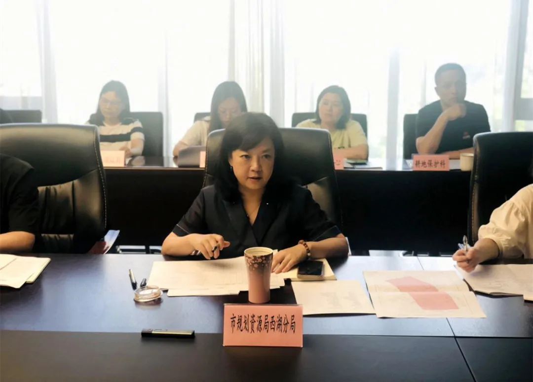 紧盯目标任务 推进高效做地 | 2023年度西湖区做地出地攻坚行动工作会议召开