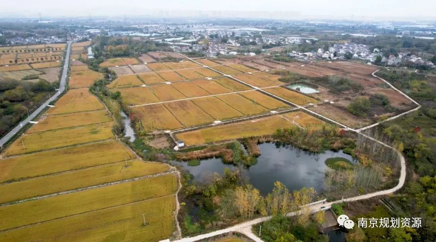 主题教育┃规划师下乡，为乡村振兴画蓝图变实景（文末附调查问卷）