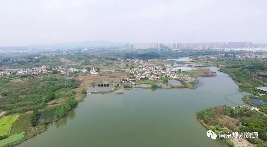 主题教育┃规划师下乡，为乡村振兴画蓝图变实景（文末附调查问卷）