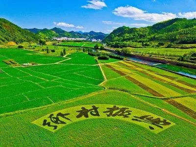 城市化一周精选(6.9-6.15) 城市化一周精选(6.9-6.15)