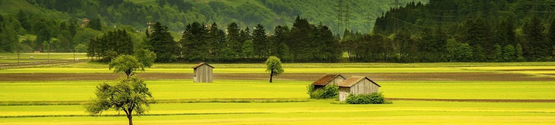 要闻 | 住建部等十二部门协力推进体育助力乡村振兴工作 要闻 | 住建部等十二部门协力推进体育助力乡村振兴工作