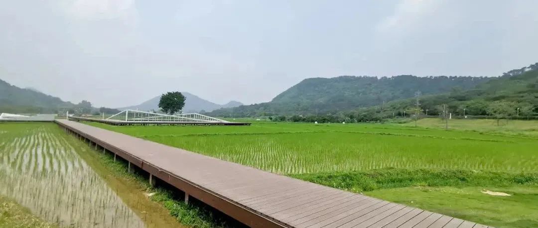 高度城市化近郊区全域土地综合整治实践——以杭州市双浦镇为例|城市眼 高度城市化近郊区全域土地综合整治实践——以杭州市双浦镇为例|城市眼