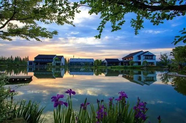 高度城市化近郊区全域土地综合整治实践——以杭州市双浦镇为例|城市眼 高度城市化近郊区全域土地综合整治实践——以杭州市双浦镇为例|城市眼