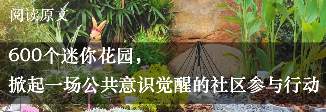 十个韧性社区营造案例