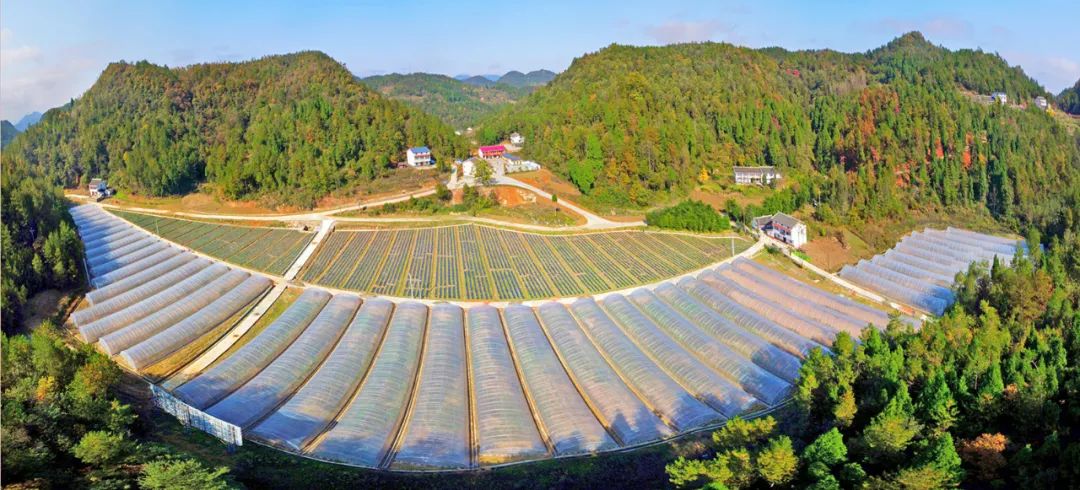 首批自然资源节约集约示范县（市）巡礼 | 四川广元利州区：做活土地文章 释放发展动能