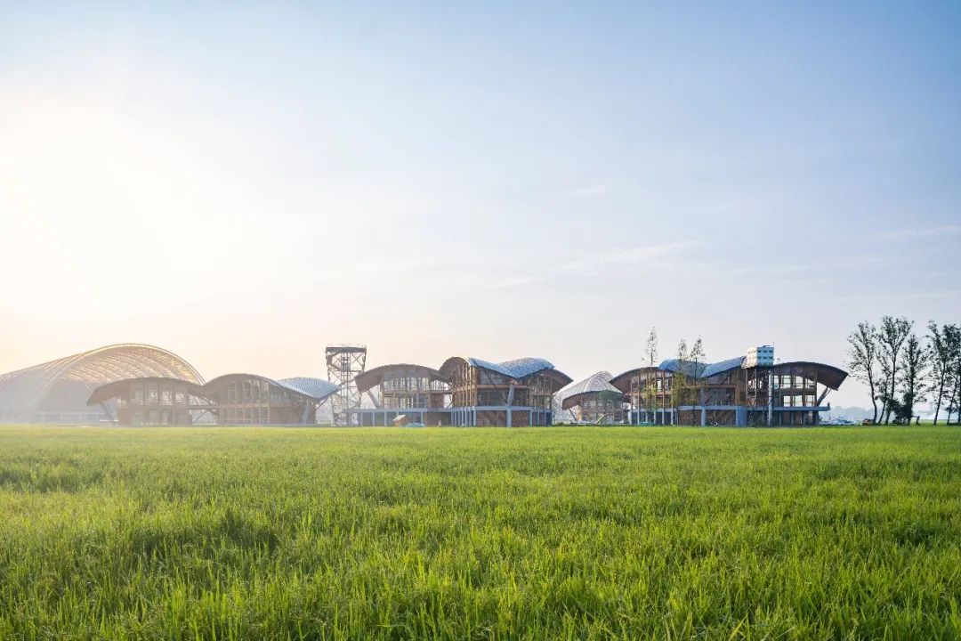 三星堆博物馆建筑师刘艺：比语言更适合评价建筑师的，是时间。