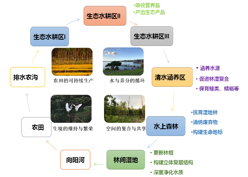 上海经验:创新推进全域土地综合整治,积极助力上海城市乡村振兴 上海经验:创新推进全域土地综合整治,积极助力上海城市乡村振兴