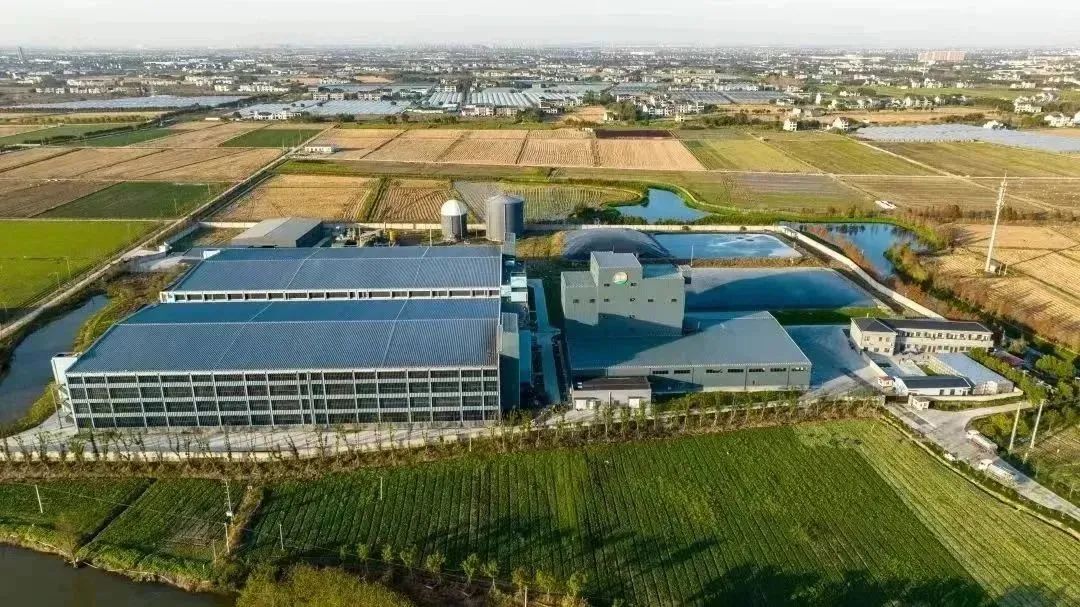 土地综合整治1 | 从“协同利用”到“协同增效”:国内全域土地综合整治的减排实践 土地综合整治1 | 从“协同利用”到“协同增效”:国内全域土地综合整治的减排实践