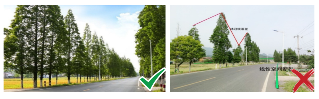《湖北省县城园林绿化技术指引》出炉 《湖北省县城园林绿化技术指引》出炉