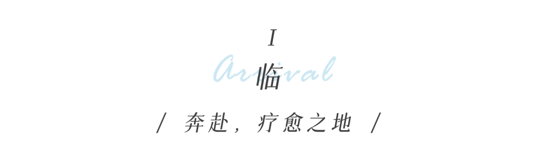 从多个景观设计案例看如何以场地原生大树创作场景