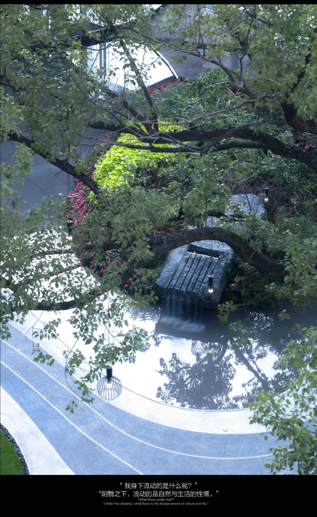 从多个景观设计案例看如何以场地原生大树创作场景