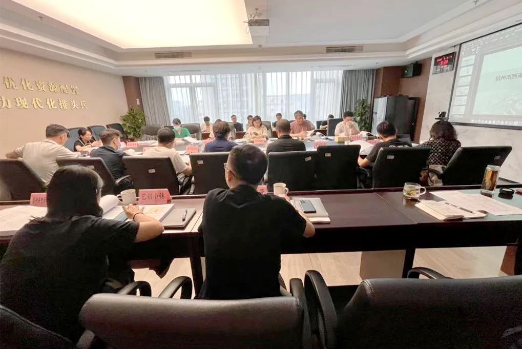 规划引领 打造“三创”共兴示范地 | 转塘单元详细规划区级专家及部门评审会召开
