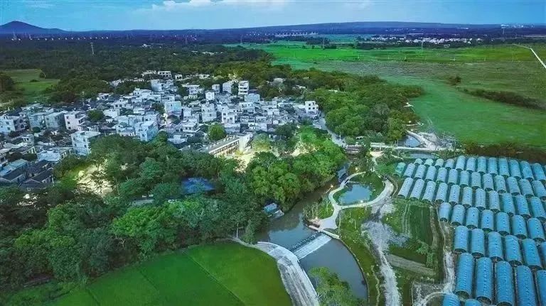 土地综合整治1 | 从“协同利用”到“协同增效”:国内全域土地综合整治的减排实践 土地综合整治1 | 从“协同利用”到“协同增效”:国内全域土地综合整治的减排实践