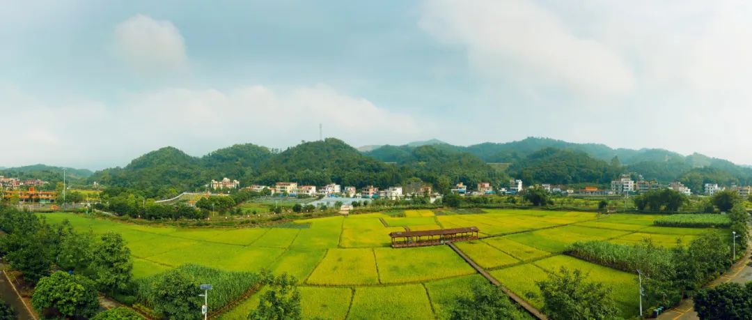 土地综合整治1 | 从“协同利用”到“协同增效”:国内全域土地综合整治的减排实践 土地综合整治1 | 从“协同利用”到“协同增效”:国内全域土地综合整治的减排实践