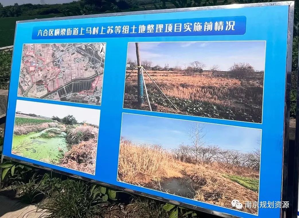 主题教育┃低效“烧饼地”盘成千亩高效田 净增耕地超过50亩 主题教育┃低效“烧饼地”盘成千亩高效田 净增耕地超过50亩