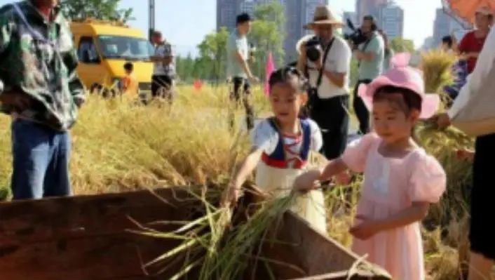 《湖北省县城园林绿化技术指引》出炉 《湖北省县城园林绿化技术指引》出炉