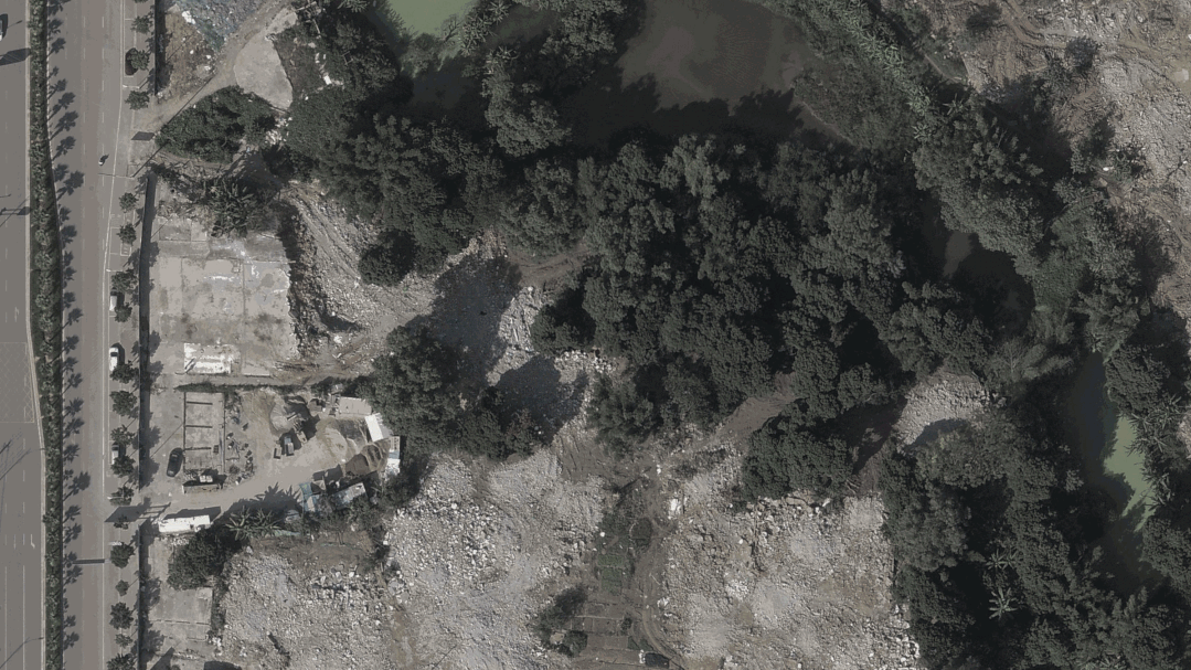 从多个景观设计案例看如何以场地原生大树创作场景 从多个景观设计案例看如何以场地原生大树创作场景