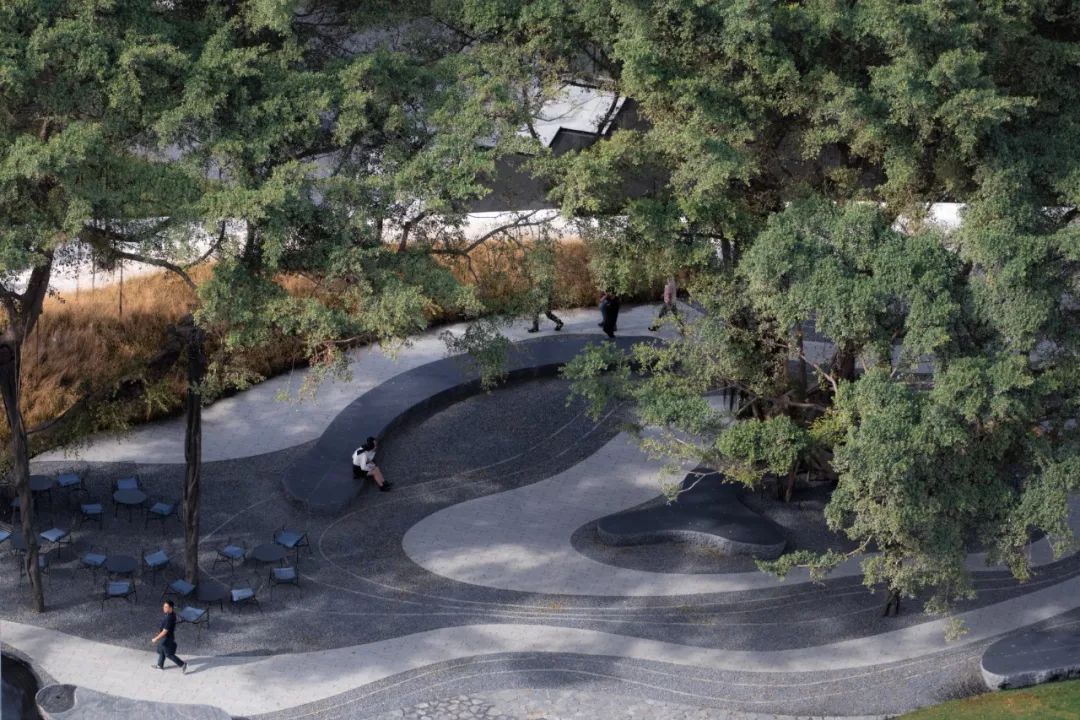 从多个景观设计案例看如何以场地原生大树创作场景