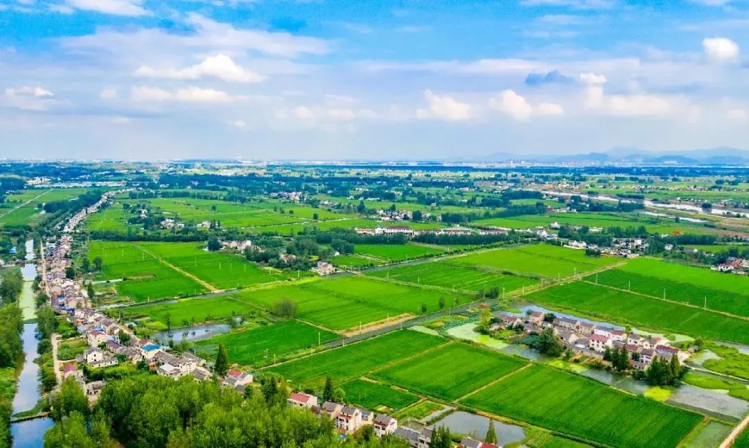 主题教育┃低效“烧饼地”盘成千亩高效田 净增耕地超过50亩 主题教育┃低效“烧饼地”盘成千亩高效田 净增耕地超过50亩