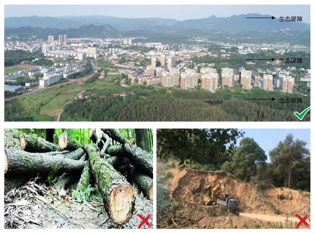 《湖北省县城园林绿化技术指引》出炉 《湖北省县城园林绿化技术指引》出炉