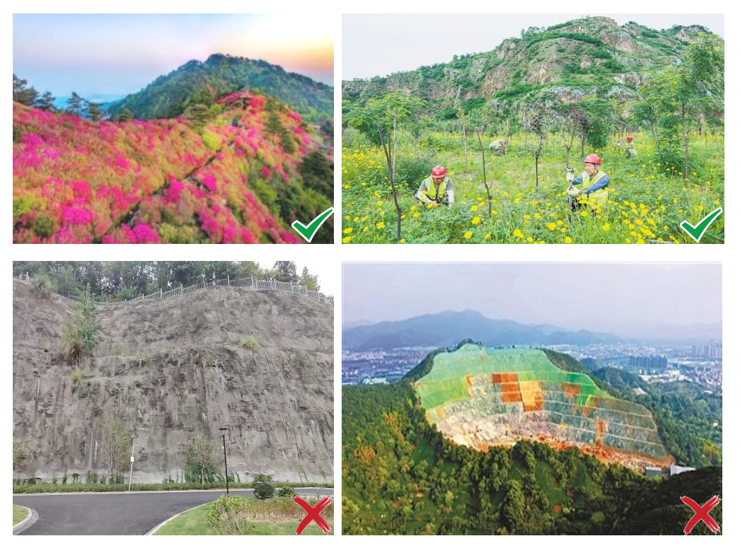 《湖北省县城园林绿化技术指引》出炉 《湖北省县城园林绿化技术指引》出炉