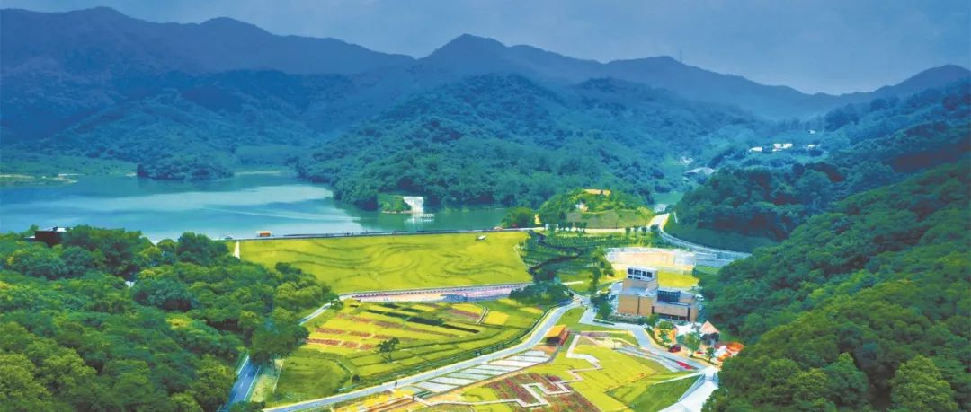 “千万工程”实施20年:浙江省乡村建设的发展历程及其政策供给 “千万工程”实施20年:浙江省乡村建设的发展历程及其政策供给