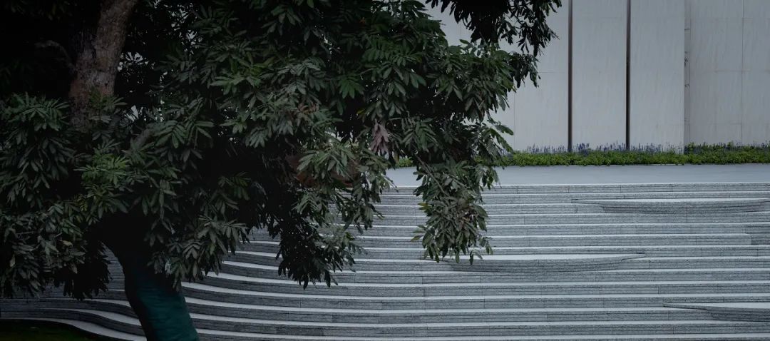 从多个景观设计案例看如何以场地原生大树创作场景