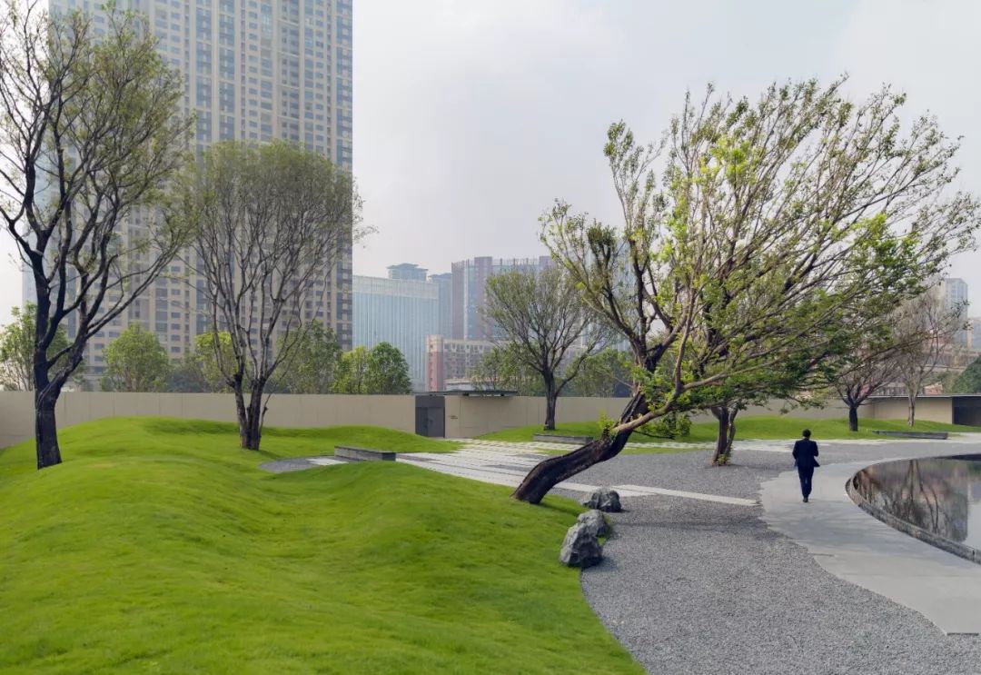 从多个景观设计案例看如何以场地原生大树创作场景
