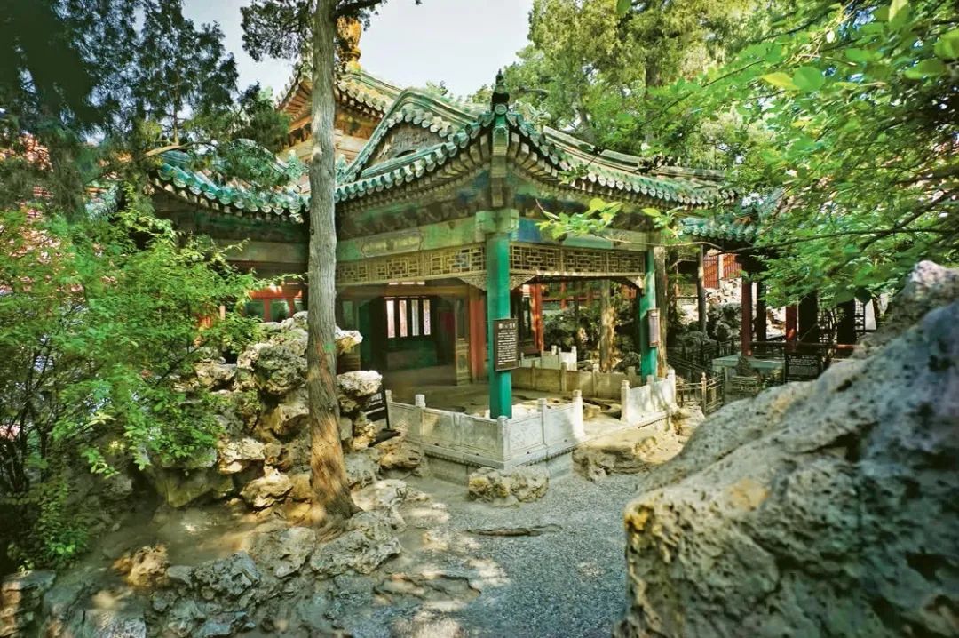 活动综述丨故宫宁寿宫花园保护项目实习生启动仪式