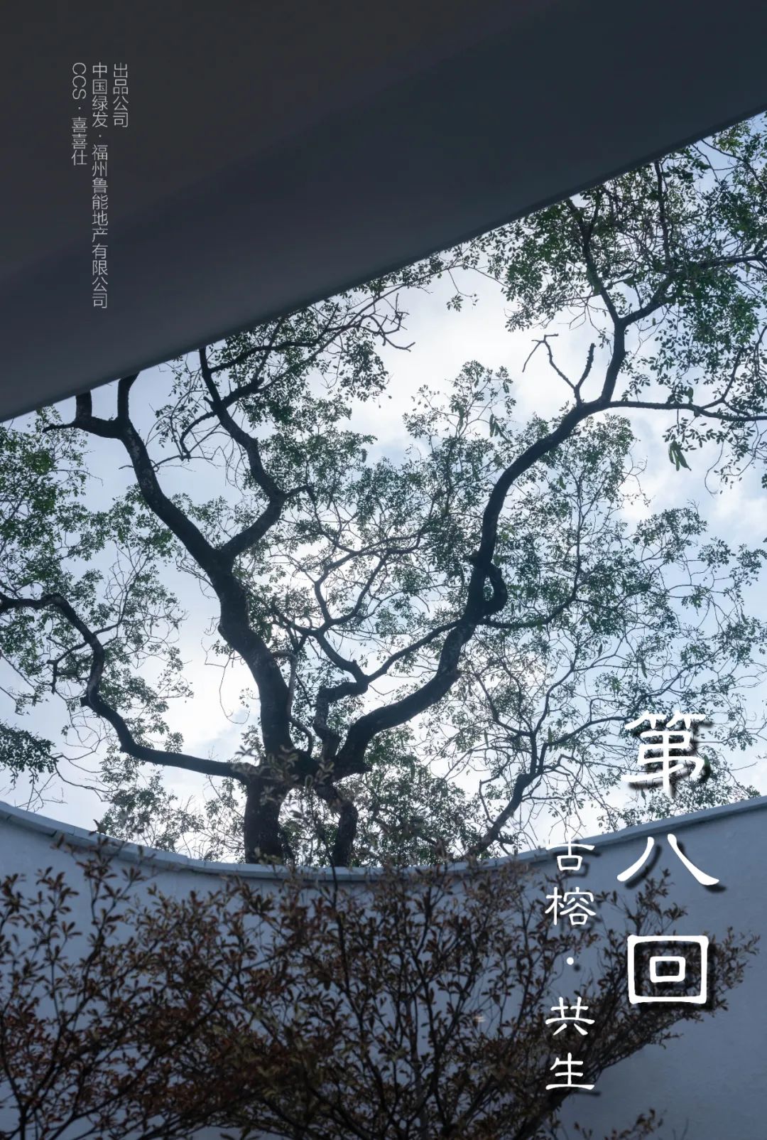 从多个景观设计案例看如何以场地原生大树创作场景 从多个景观设计案例看如何以场地原生大树创作场景