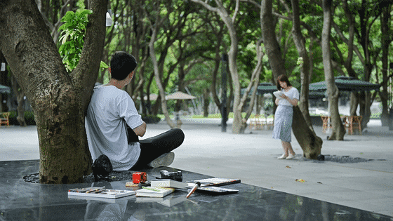 从多个景观设计案例看如何以场地原生大树创作场景