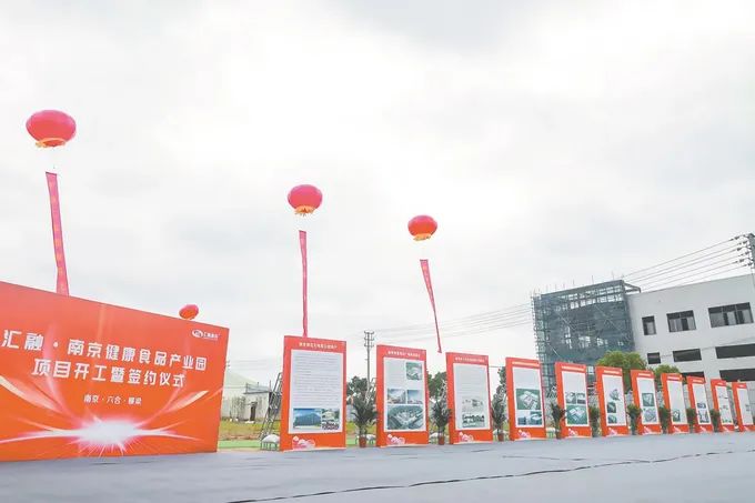 主题教育┃新华日报：六合分局持续优化营商环境 提升项目审批服务质效
