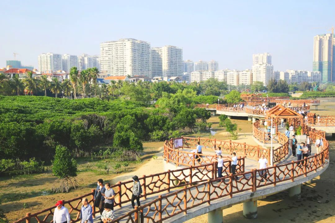 促进绿色低碳发展,我们在行动 | 全国节能宣传周特别策划 促进绿色低碳发展,我们在行动 | 全国节能宣传周特别策划