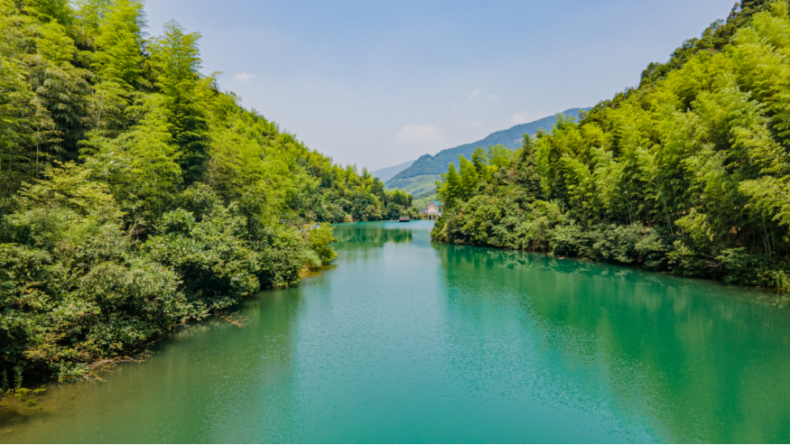 组团来杭！自然资源部携央媒记者走进青山村采访