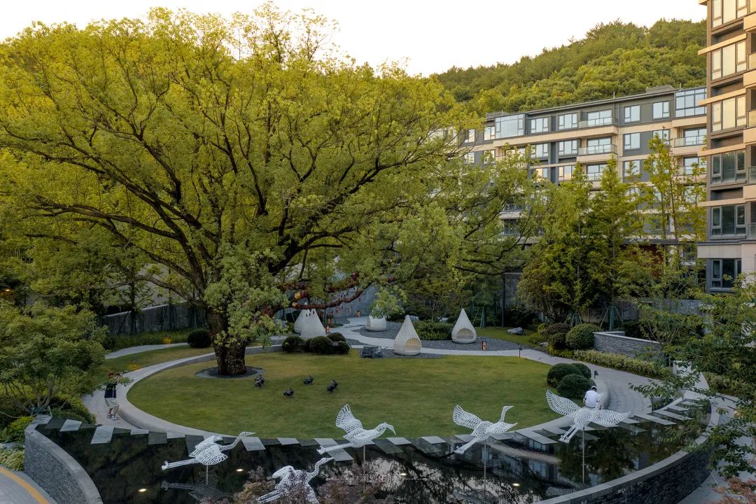 从多个景观设计案例看如何以场地原生大树创作场景 从多个景观设计案例看如何以场地原生大树创作场景