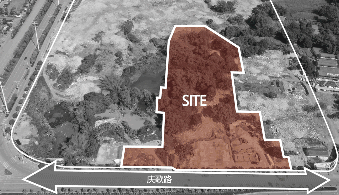 从多个景观设计案例看如何以场地原生大树创作场景 从多个景观设计案例看如何以场地原生大树创作场景