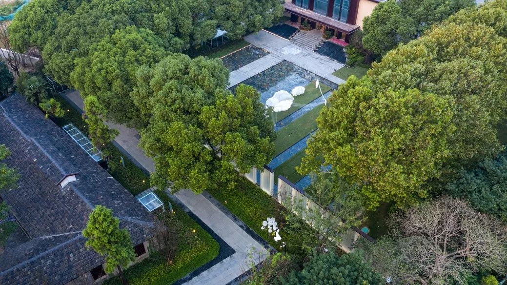 从多个景观设计案例看如何以场地原生大树创作场景