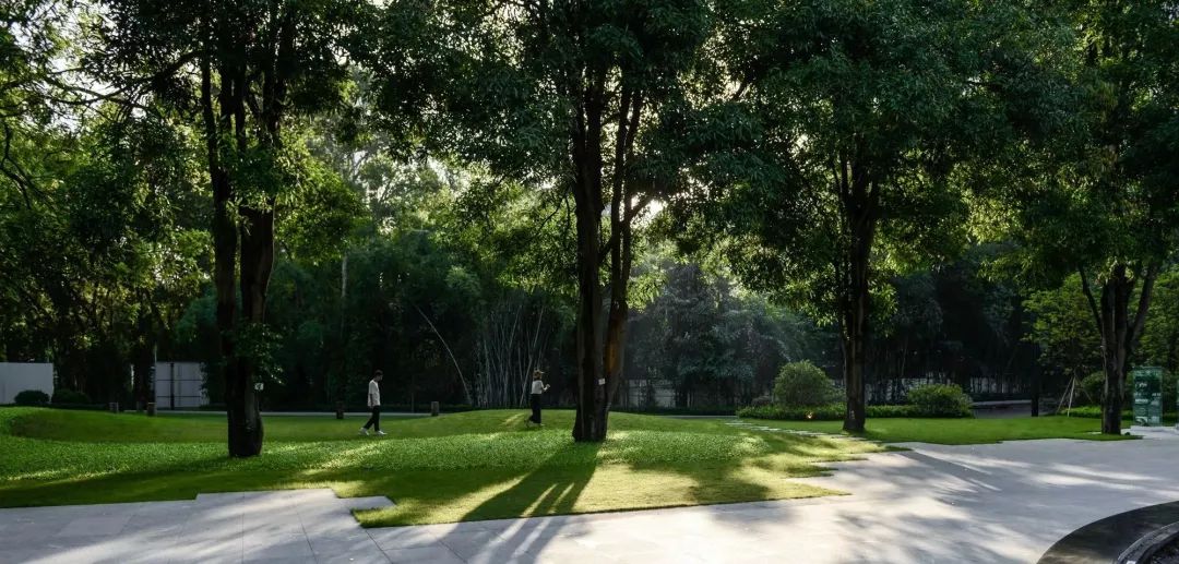 从多个景观设计案例看如何以场地原生大树创作场景