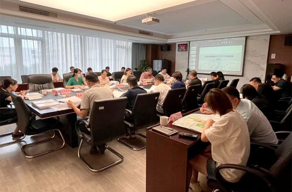 规划引领 打造“三创”共兴示范地 | 转塘单元详细规划区级专家及部门评审会召开