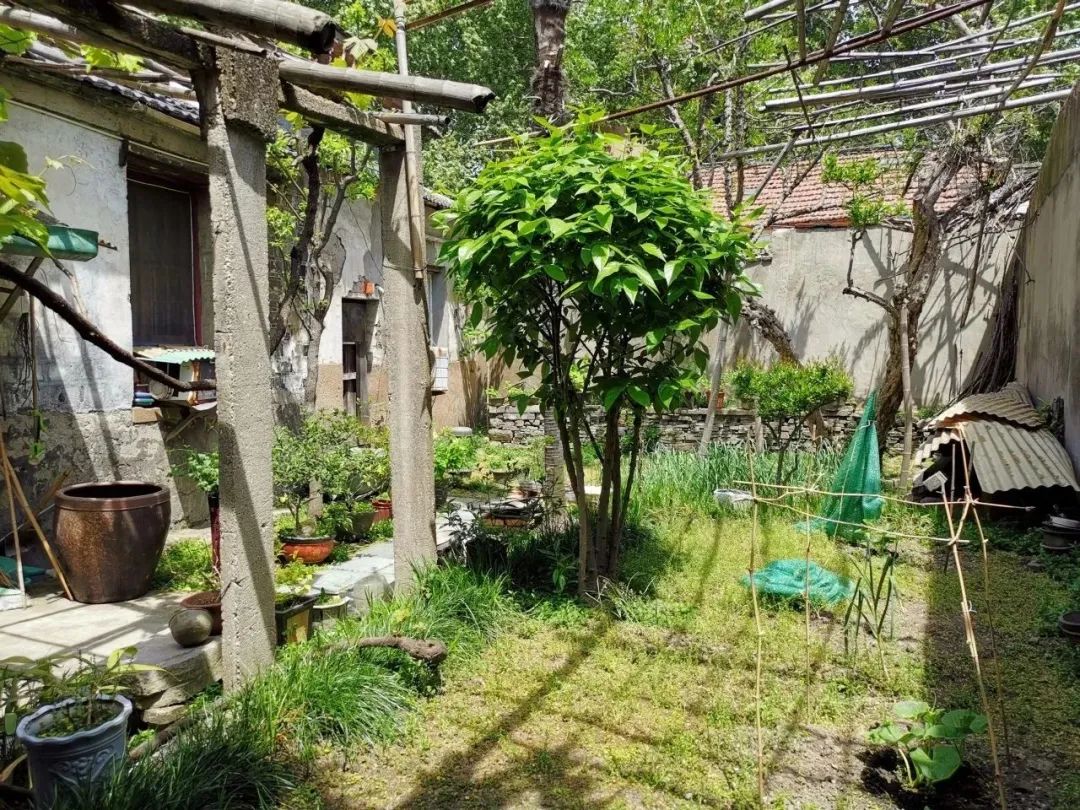 韩冬青|居住型历史地段保护更新的新探索 韩冬青|居住型历史地段保护更新的新探索