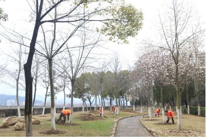 《湖北省县城园林绿化技术指引》出炉 《湖北省县城园林绿化技术指引》出炉