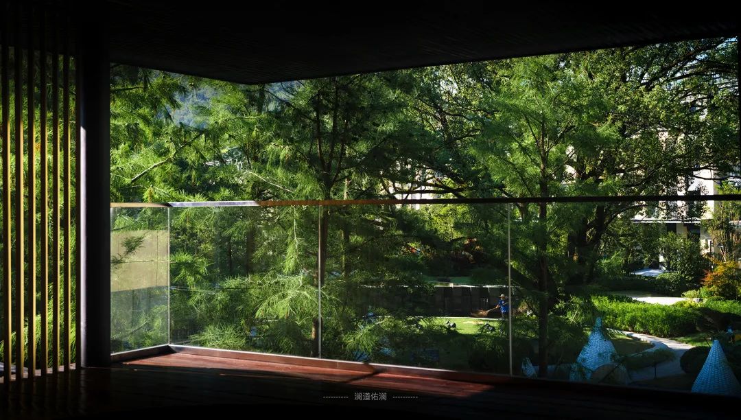 从多个景观设计案例看如何以场地原生大树创作场景 从多个景观设计案例看如何以场地原生大树创作场景