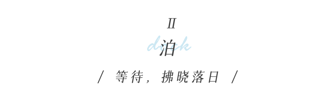 从多个景观设计案例看如何以场地原生大树创作场景