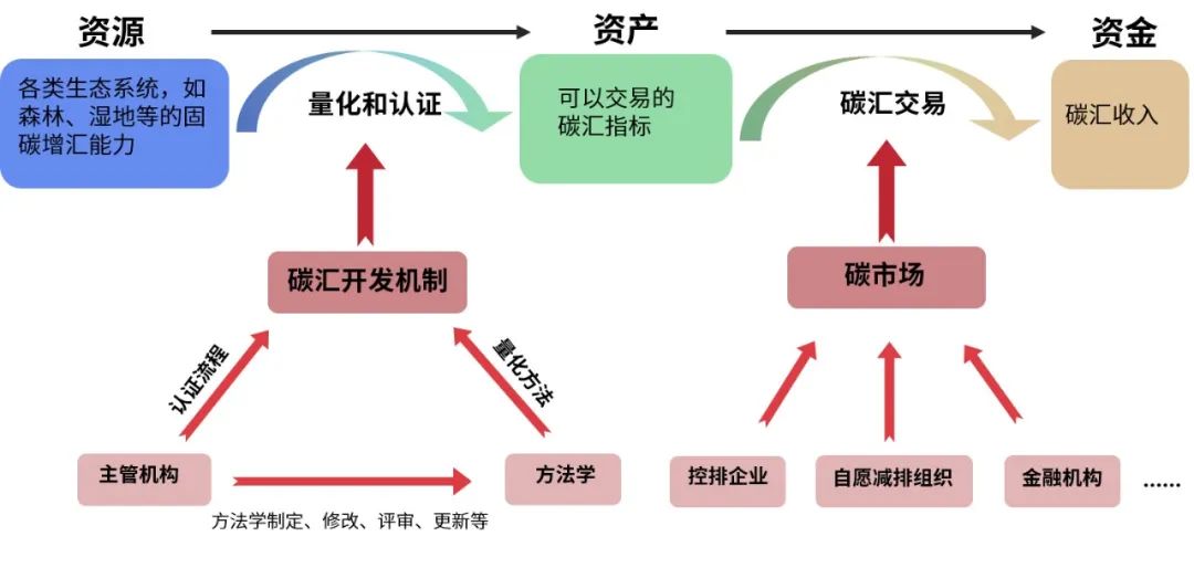 双碳︱基于自然资源管理视角的生态系统碳汇开发