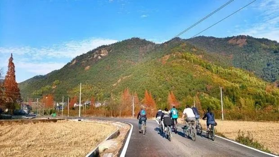组团来杭！自然资源部携央媒记者走进青山村采访