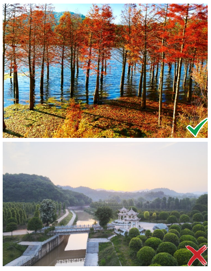 《湖北省县城园林绿化技术指引》出炉 《湖北省县城园林绿化技术指引》出炉