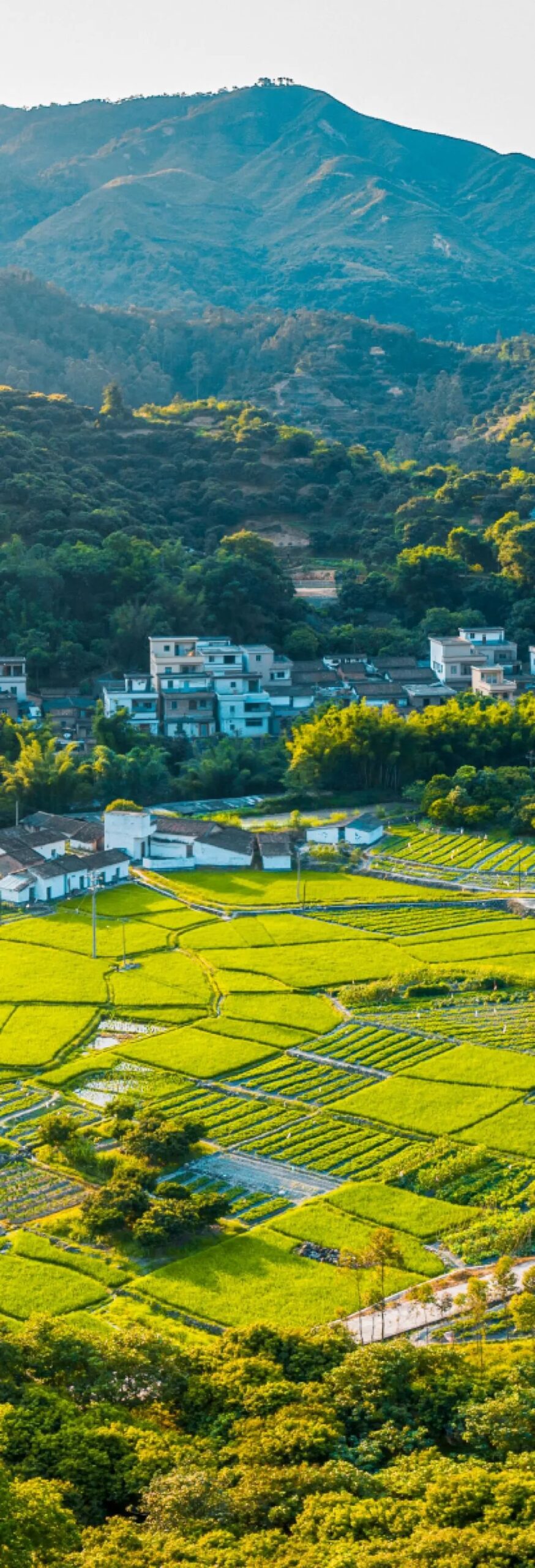 《湖北省县城园林绿化技术指引》出炉 《湖北省县城园林绿化技术指引》出炉