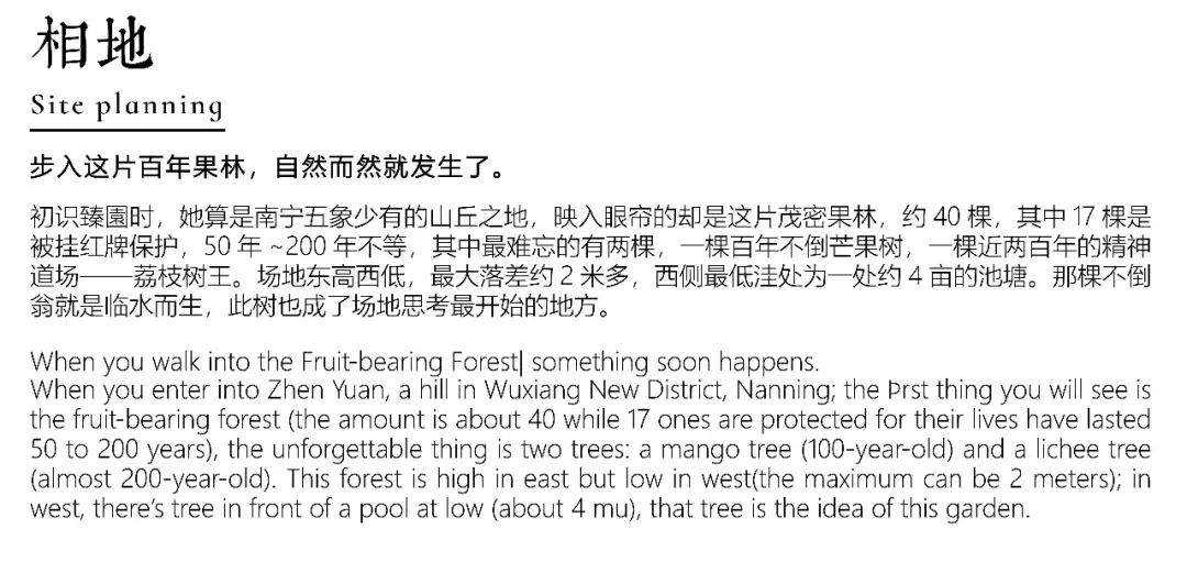 从多个景观设计案例看如何以场地原生大树创作场景 从多个景观设计案例看如何以场地原生大树创作场景
