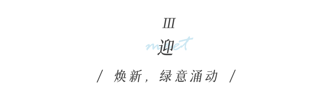 从多个景观设计案例看如何以场地原生大树创作场景