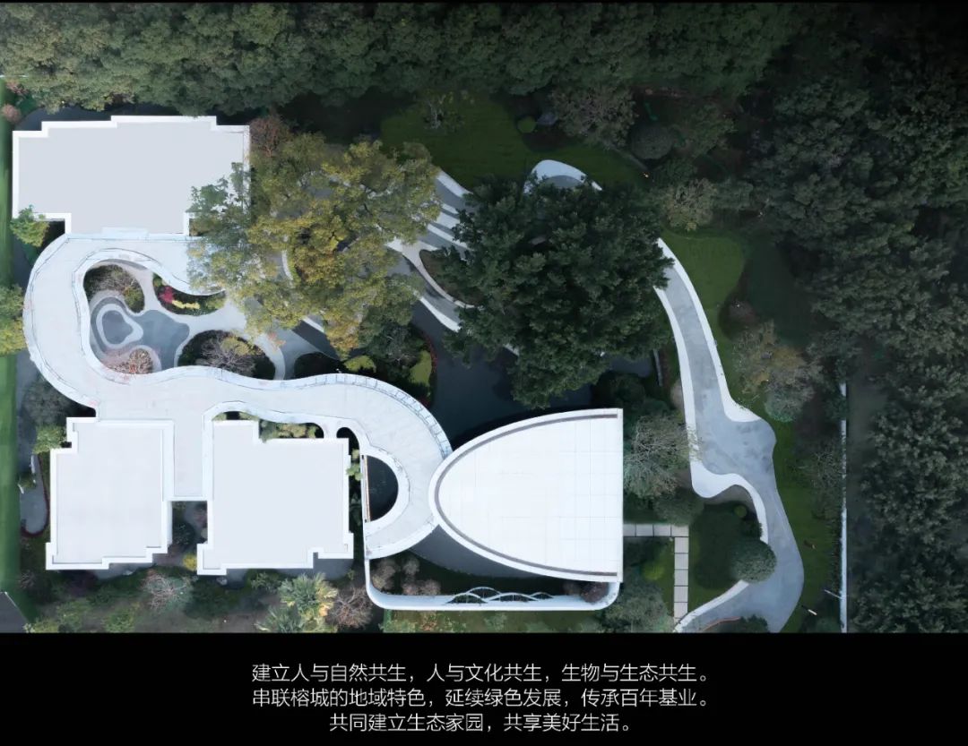 从多个景观设计案例看如何以场地原生大树创作场景
